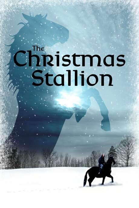 The Winter Stallion